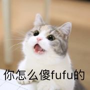 月半入山