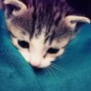 ┏ ☞๑呜啦喵◑(TωT)◐