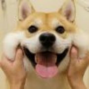 逝去的不再归来