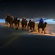 挪威森林的四月雨