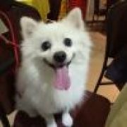 ら比钻石还闪亮