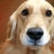 回忆-_-||【童年】