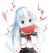 海豹火锅