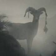 🐑 🐑 🐑 🐑 🐑