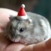 哈根达斯冰淇淋