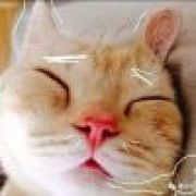 秃噜 =͟͟͞͞➳❀