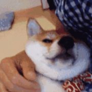 游戏体验极差。