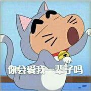 想要感天动地的废c