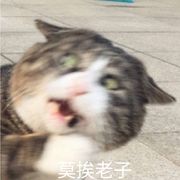 阿蛋