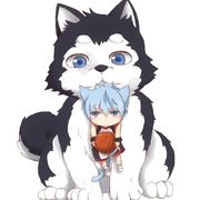 我永远喜欢盾妹