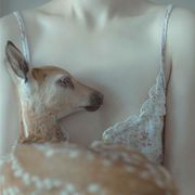 小表妹的大表哥