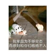 浮华