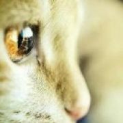 红红火火恍恍惚惚