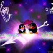 流年醉一诗碎语