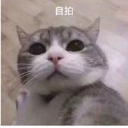 需要个个性的网名