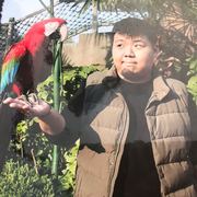 小狼