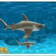 好好学习，天天向上