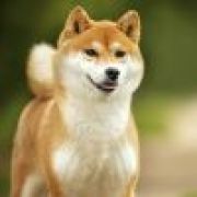 wuliao