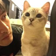 么凹