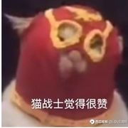 猫战士