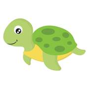 小乌龟