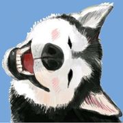 小笨居呀