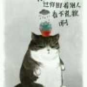 星光不落少年眉