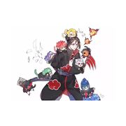 鼬先生