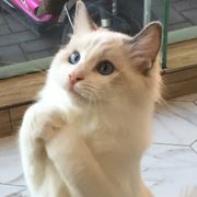 樂⁶⁶⁶天₆₆₆蒎⁶⁶⁶₆₆₆