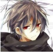 王老菊的菊花守护者