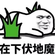 刺激战场-伏地魔