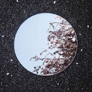 家有傲娇不好养