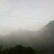 皮皮虾我们走！2号