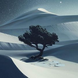 冬眠中( ̄o ̄) . z Z