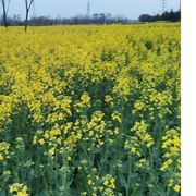 嘿嘿嘿(º﹃º )