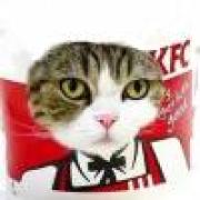 。     季节陆续死去