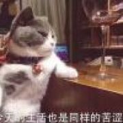 火腿味的鸡腿