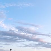 博文明点鬓霜新