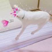 该用户因太骚气被举报