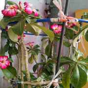 岁月留不住感动