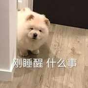 香波儿