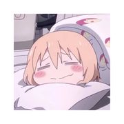 年年岁岁不挂科