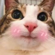 小玄子其乐无穷