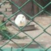 帅帅帅天然帅我最帅