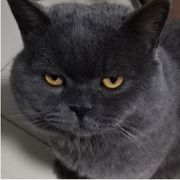 团本练习生咸鱼秀