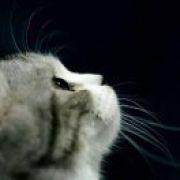 今天b3关服了吗