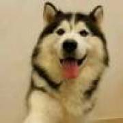 你以为你以为的就是你以为