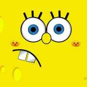 海棉宝宝