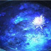 手机用户100066074