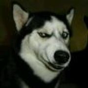 내가좋아하는サル